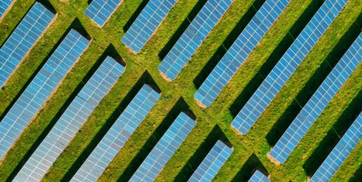 The 2025 sustainability survival guide: five things every sustainability leader must get right