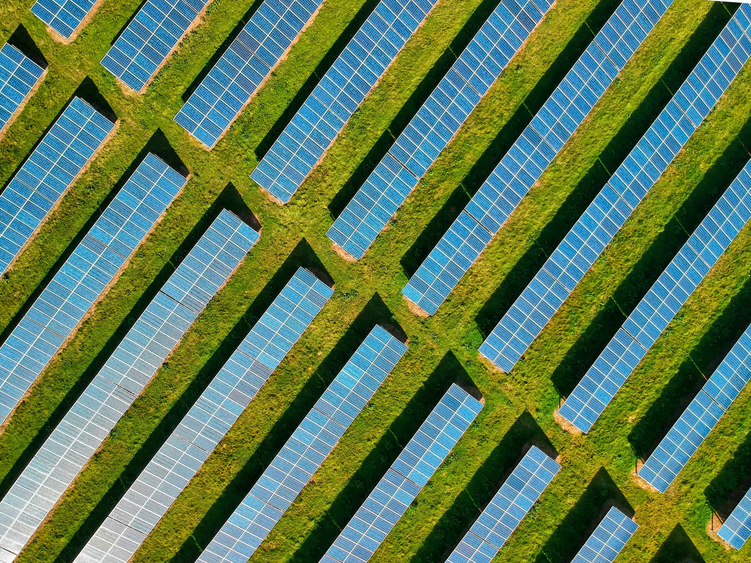 Solar panels from above - environmental. Photo credit: Red Zeppelin at Unsplash